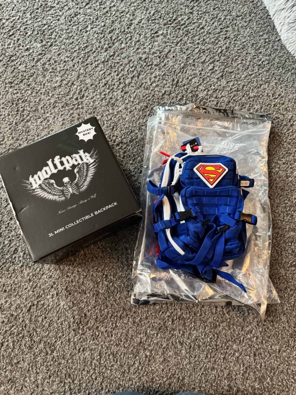 WOLFpak 3L Collectible Blind Box -  SUPERMAN (NWT)